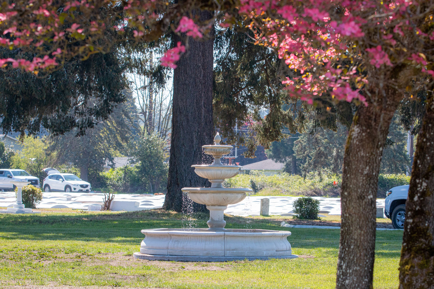 A new fountain sits in the morning sunlight at the center of the Centralia Greenwood Memorial Park.